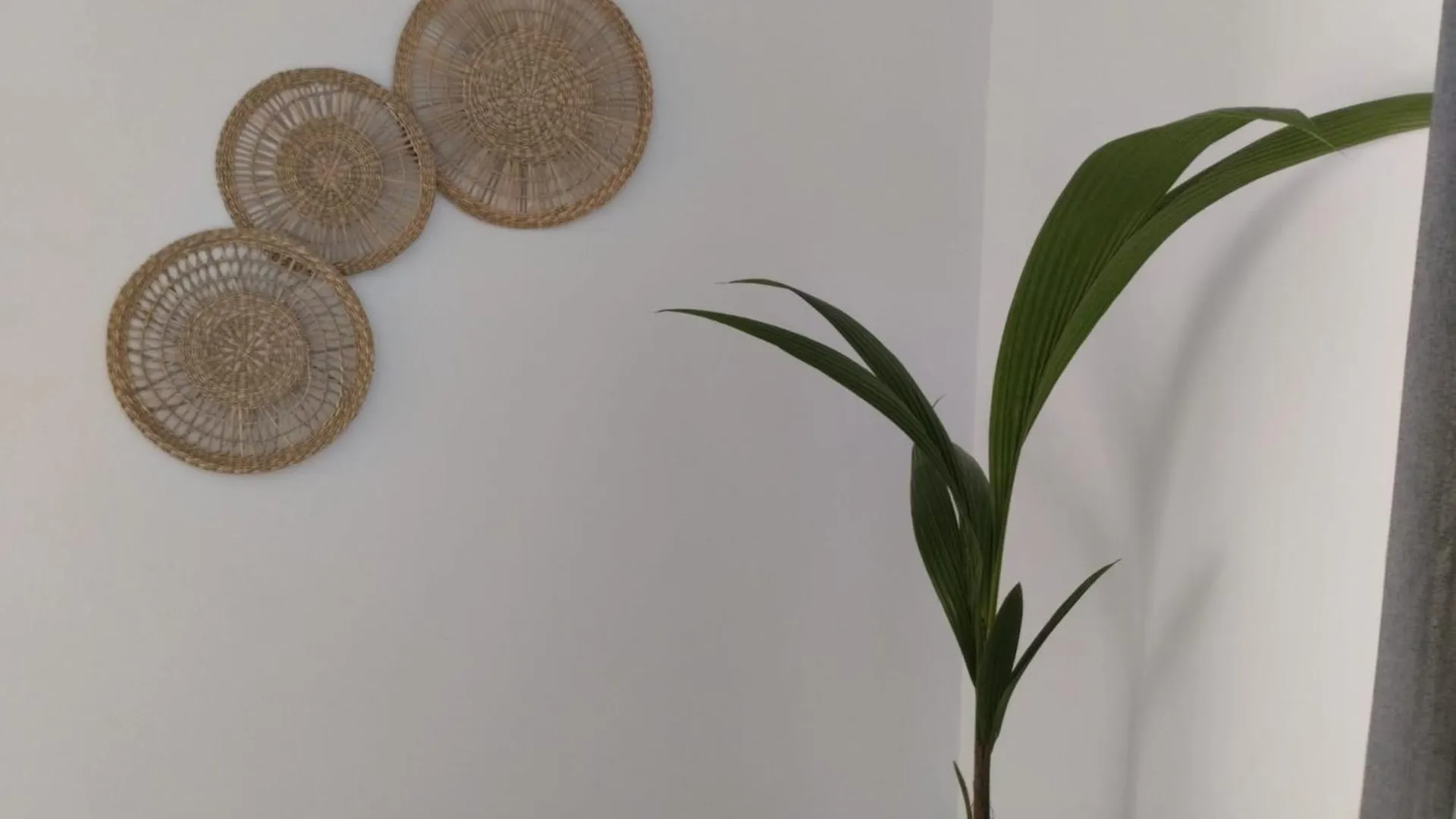 Apartamento Sun Gate Jerez de la Frontera