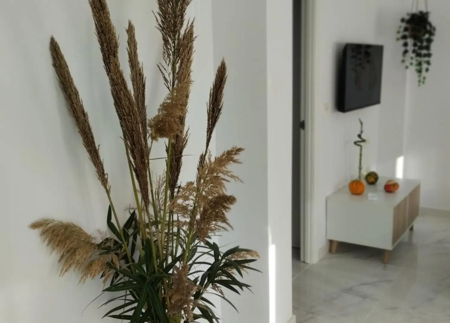 Apartamento Sun Gate Jerez de la Frontera